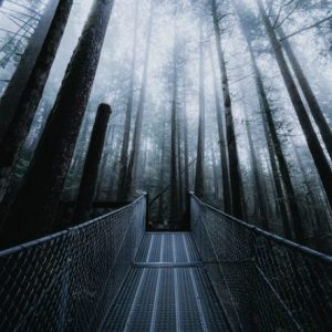 SC056 惠斯勒伍茲