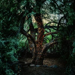 SC095 韓國雪嶽山