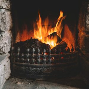 SC098 華盛頓砍了櫻桃樹